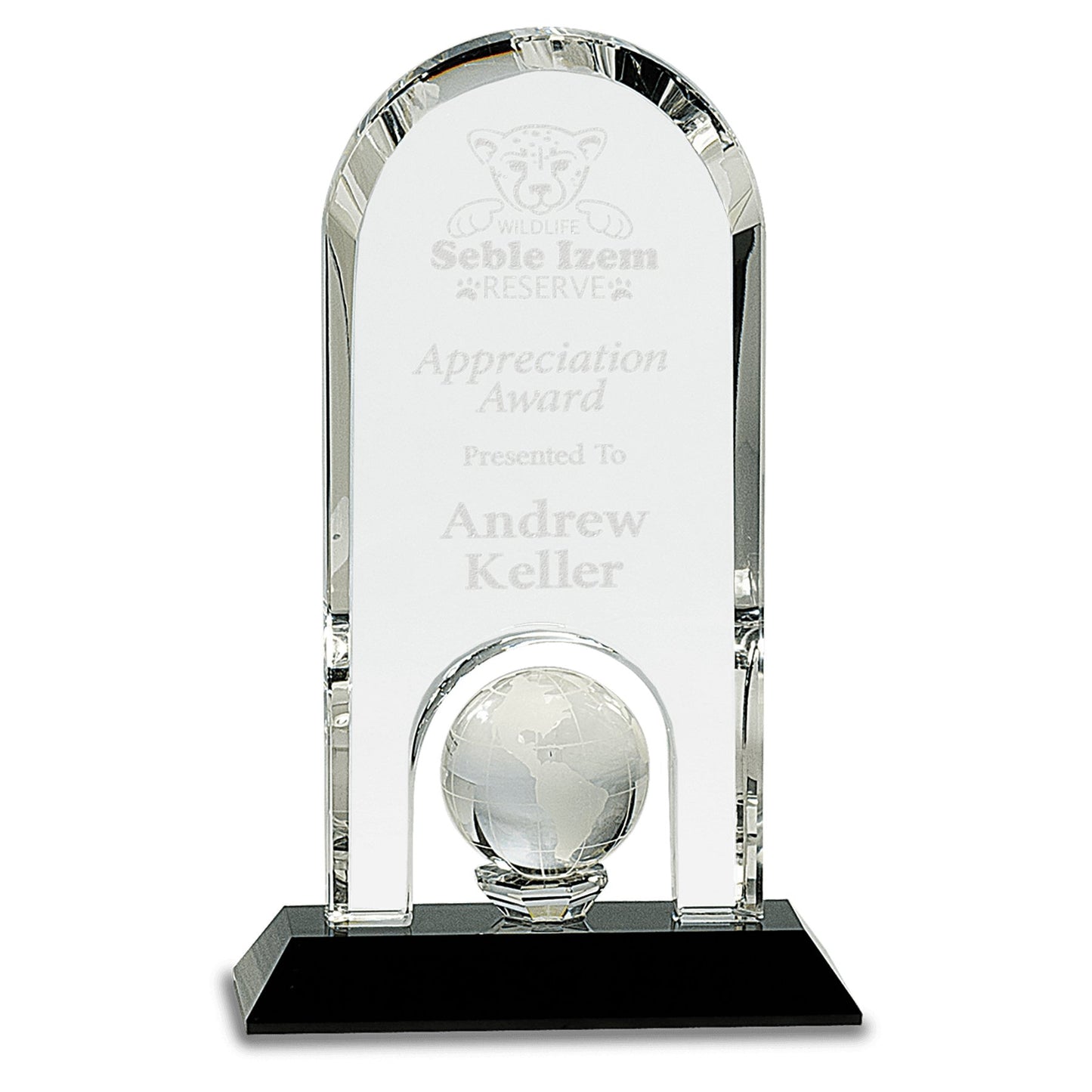 Clear Crystal Dome with Inset Globe on Black Base - Celebrate Prints
