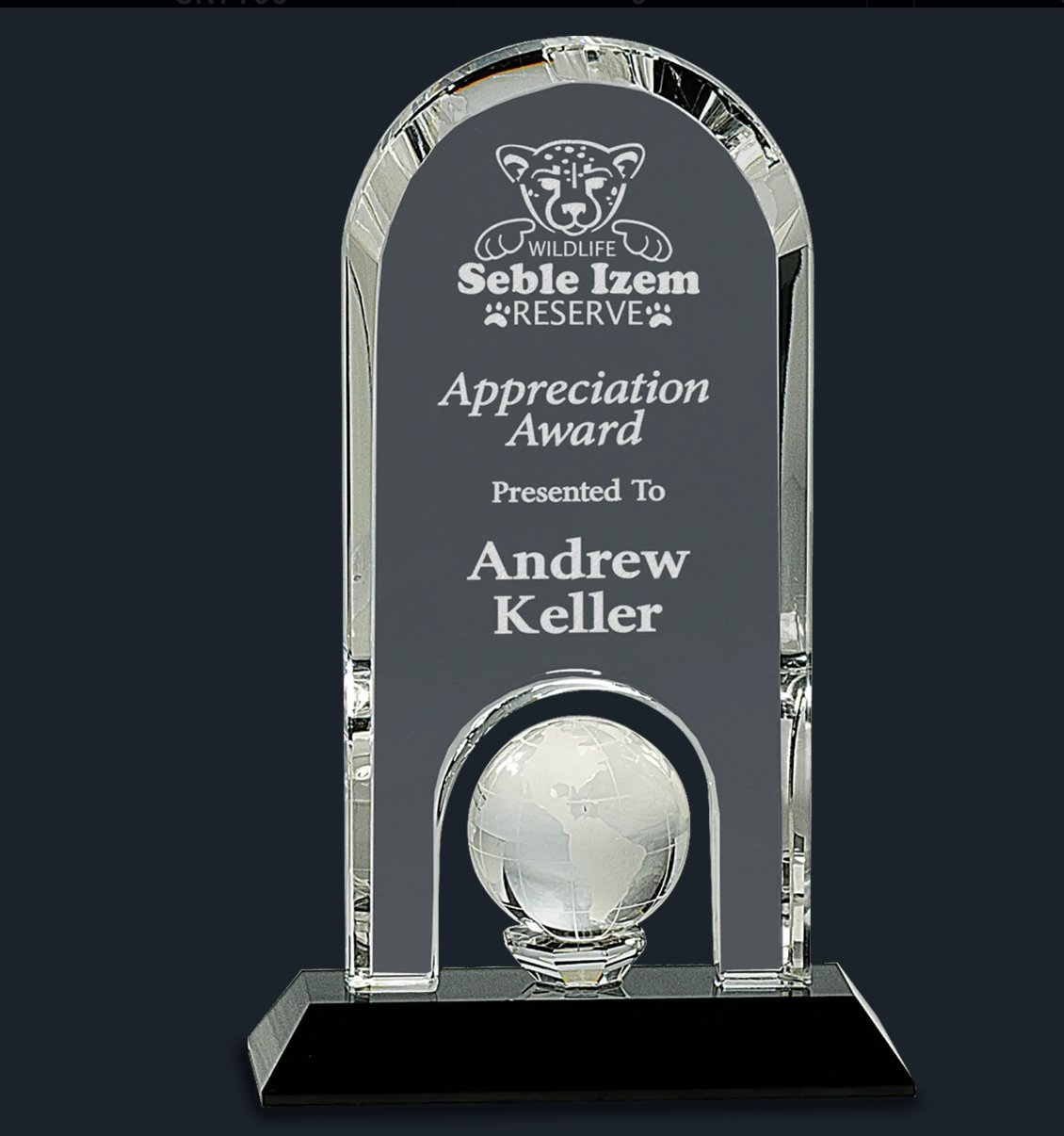 Clear Crystal Dome with Inset Globe on Black Base - Celebrate Prints