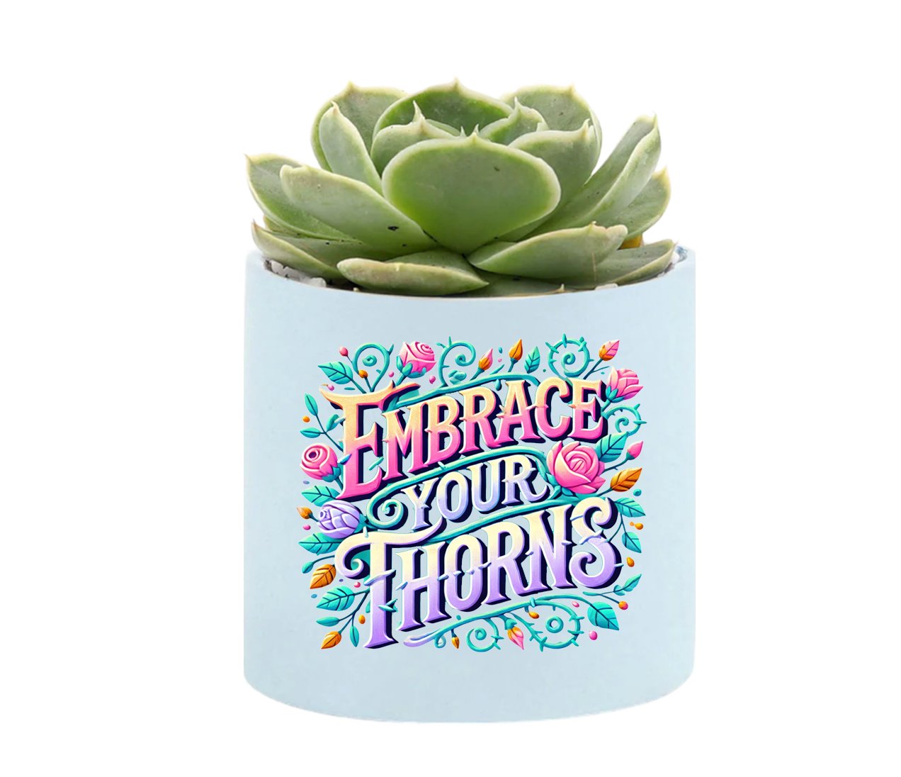 Embrace Your Thorns Mini Succulent Plant in Pot - Celebrate Prints