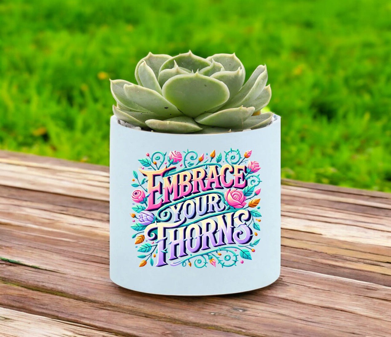 Embrace Your Thorns Mini Succulent Plant in Pot - Celebrate Prints