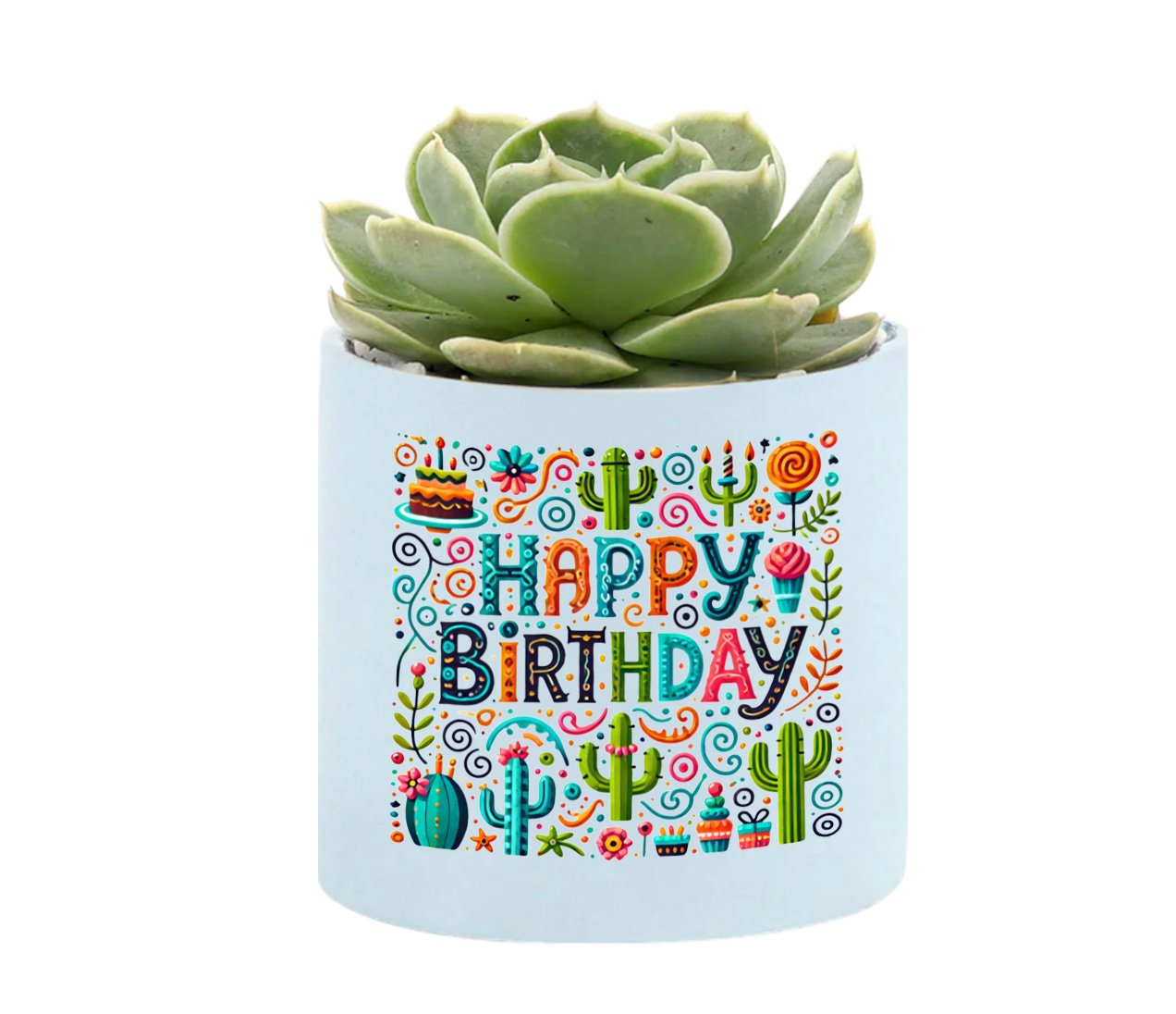 Happy Birthday Mini Succulent Plant in Pot - Celebrate Prints