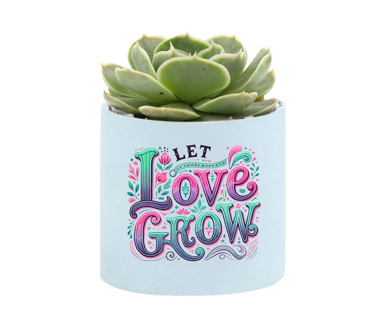 Let Love Grow Mini Succulent Plant in Pot - Celebrate Prints