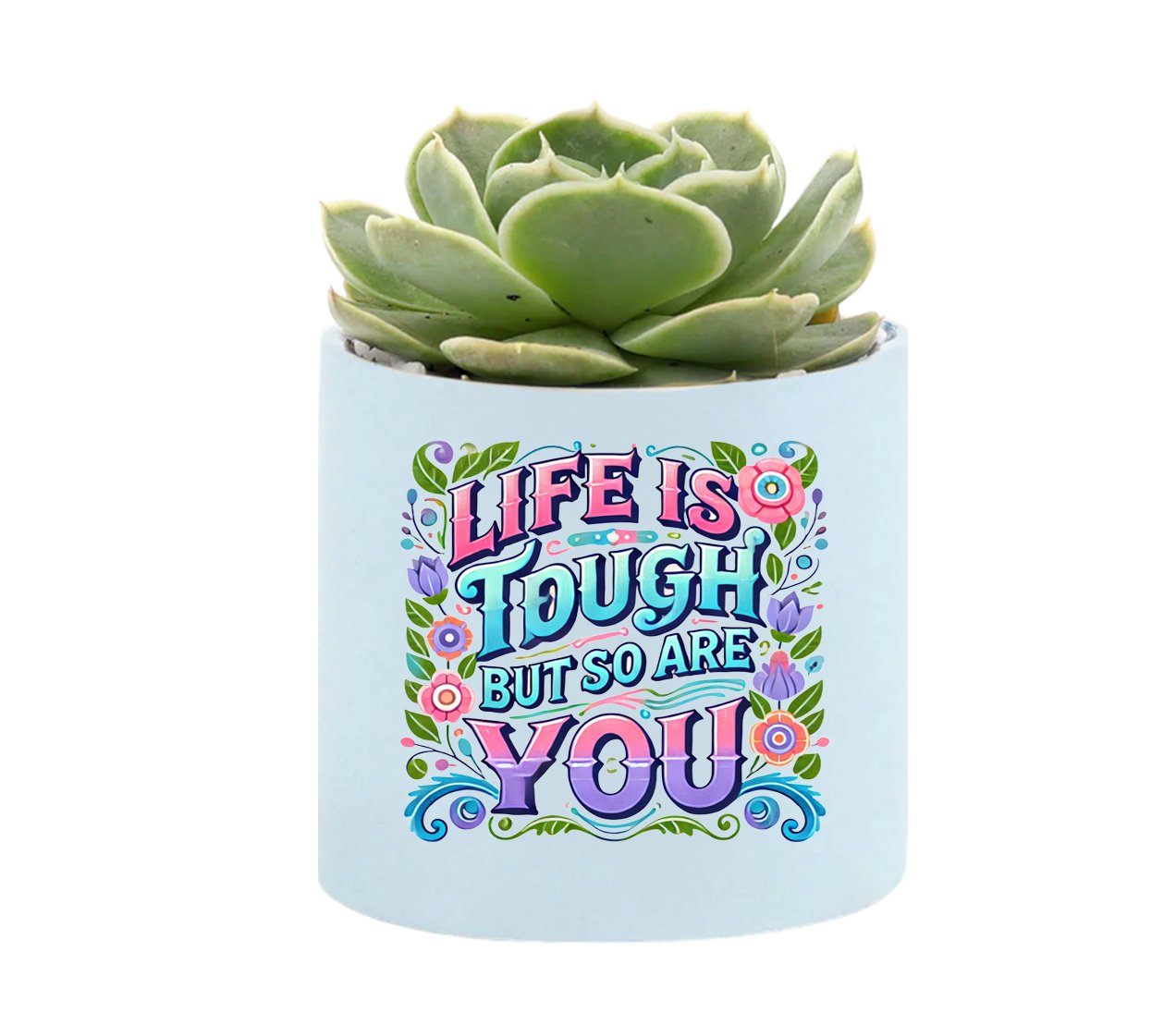 Life Is Tough Mini Succulent Plant in Pot - Celebrate Prints