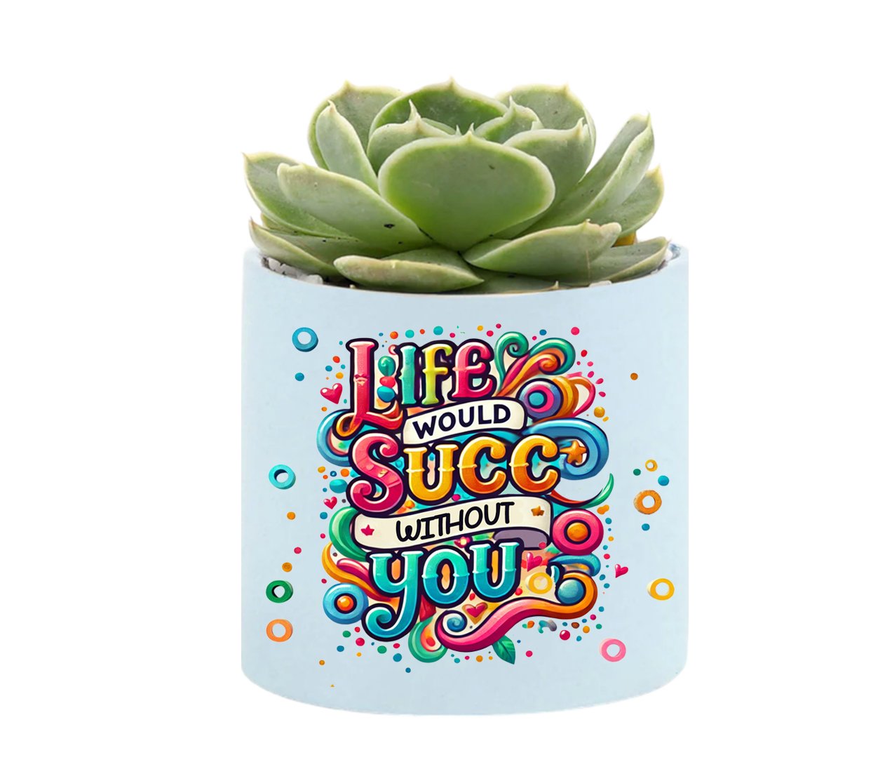 Life Succ Mini Succulent Plant in Pot - Celebrate Prints