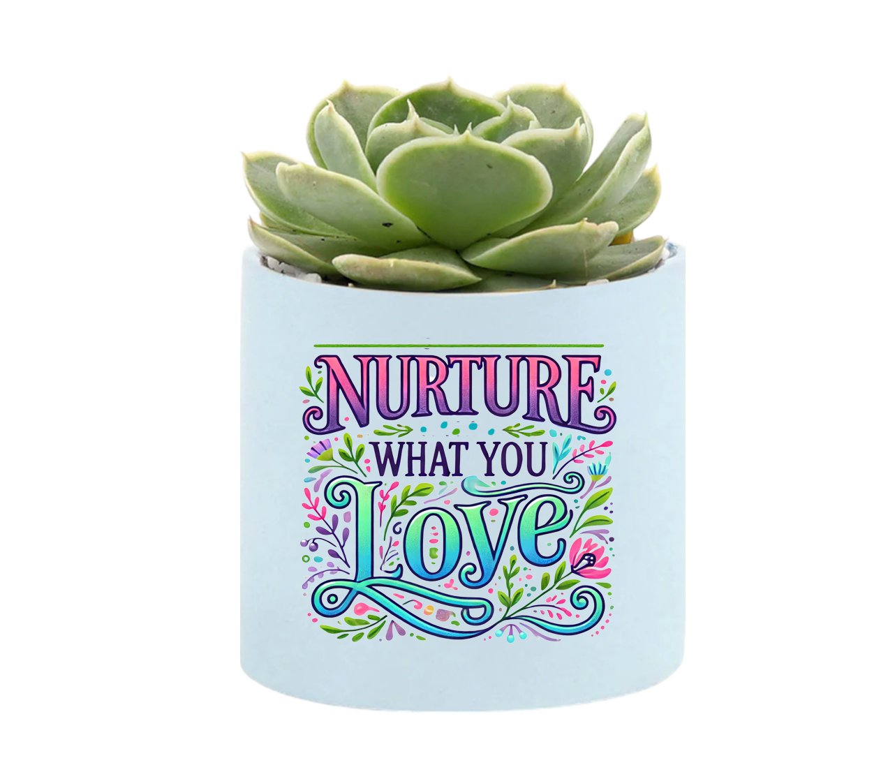 Nurture Mini Succulent Plant in Pot - Celebrate Prints
