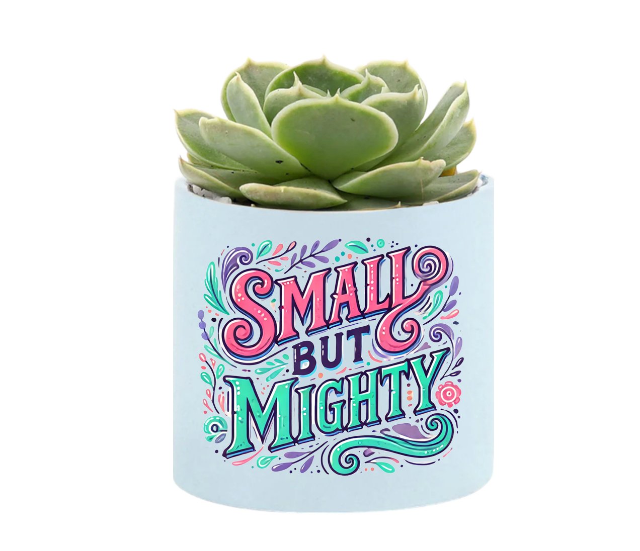 Small But Mighty Mini Succulent Plant in Pot - Celebrate Prints