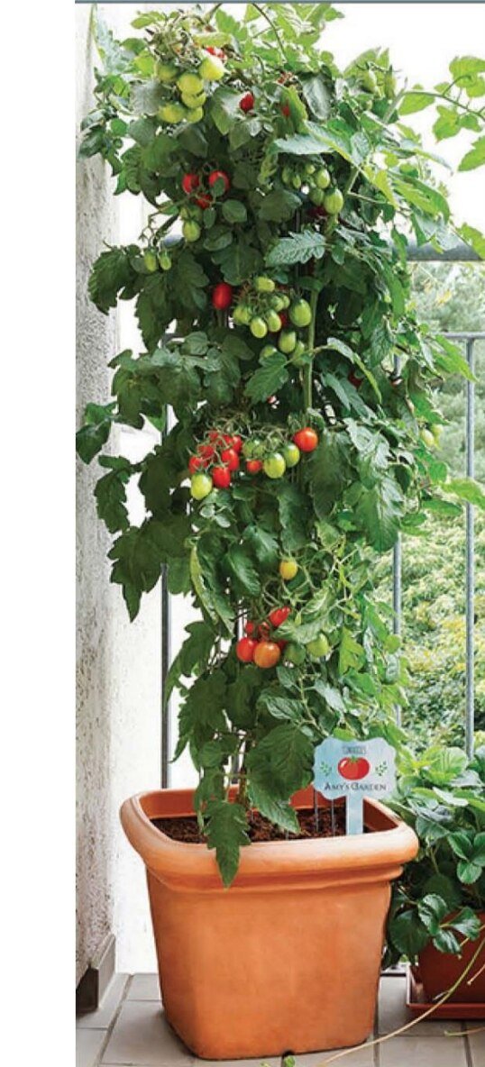 Vertical Stripes Personalized Memorial Garden Plant Stake - Celebrate Prints