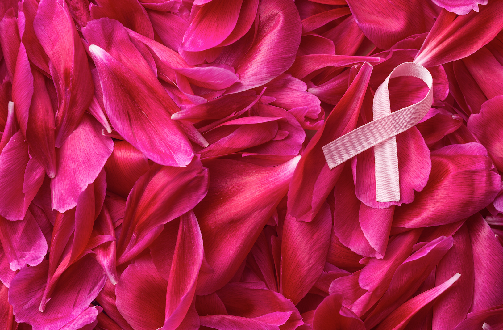 breast cancer ribbon