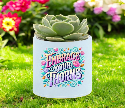 Embrace Your Thorns Mini Succulent Plant in Pot - Celebrate Prints