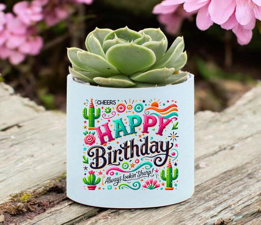 Happy Birthday Cheers Mini Succulent Plant in Pot - Celebrate Prints