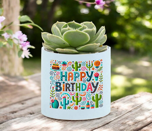 Happy Birthday Mini Succulent Plant in Pot - Celebrate Prints