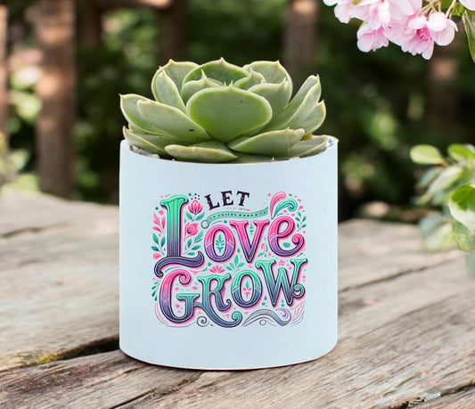 Let Love Grow Mini Succulent Plant in Pot - Celebrate Prints