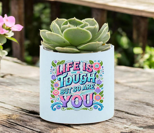 Life Is Tough Mini Succulent Plant in Pot - Celebrate Prints