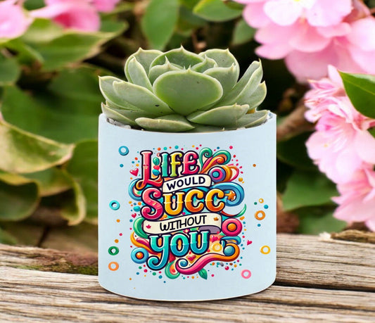 Life Succ Mini Succulent Plant in Pot - Celebrate Prints