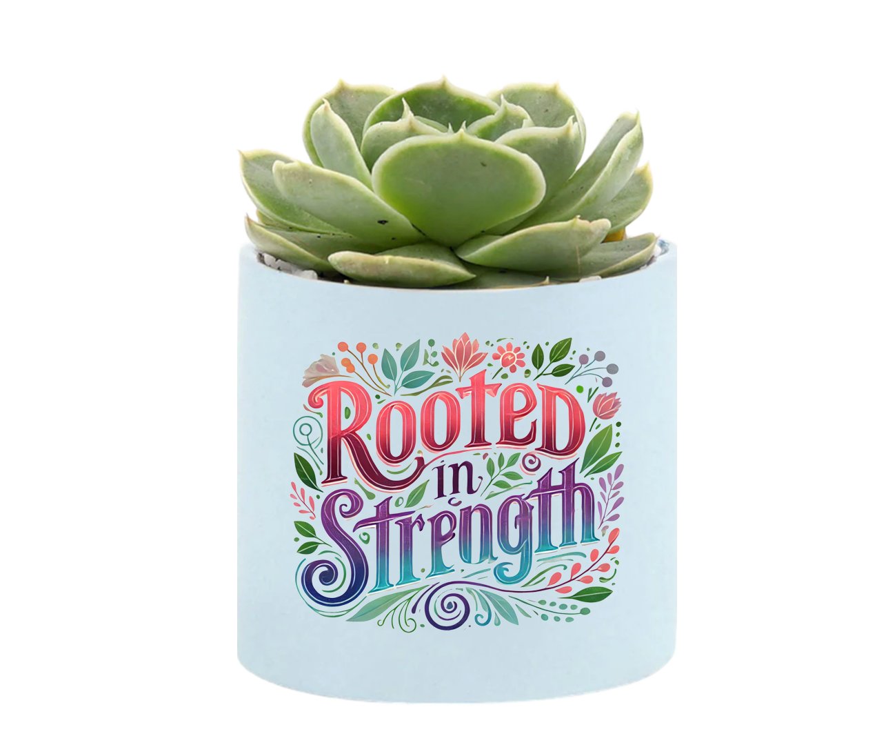 Rooted In Strength Mini Succulent Plant in Pot - Celebrate Prints