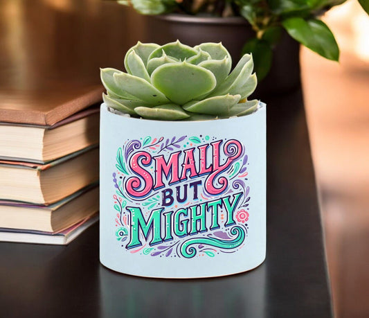 Small But Mighty Mini Succulent Plant in Pot - Celebrate Prints